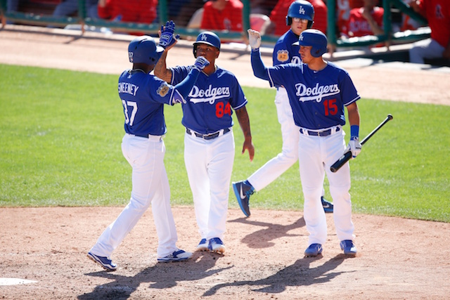 Darnell Sweeney Dodgers Team Issue Batting  