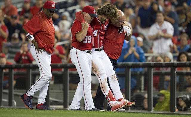 Blue Jays prepare to face Bryce Harper