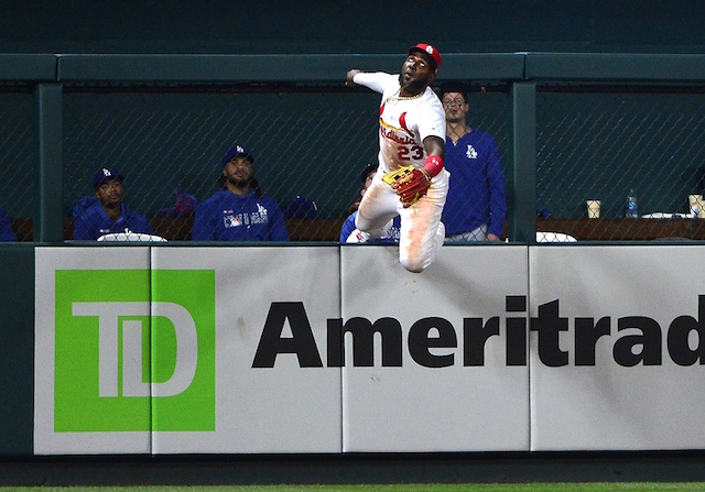 Cardinals' Marcell Ozuna climbs wall but ball never got there
