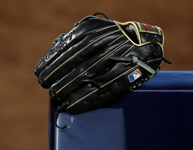 General view of glove