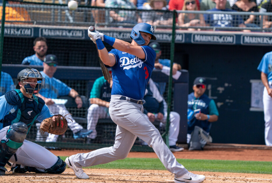 Dodgers Spring Training Roster: Jake Lamb Re-Assigned To Minor